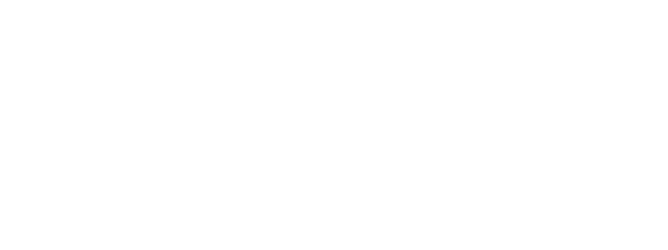 Paname Enchères